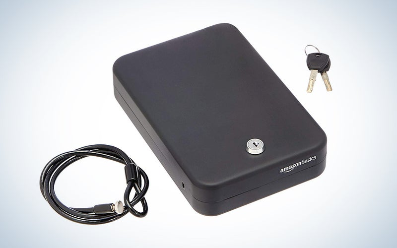 TSA-approved AmazonBasics Portable Security Case