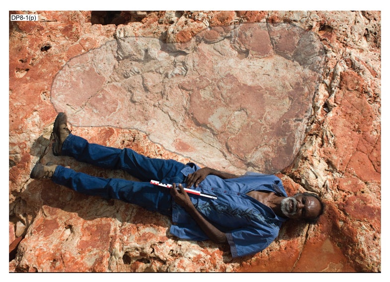 Sauroprint giant footprint