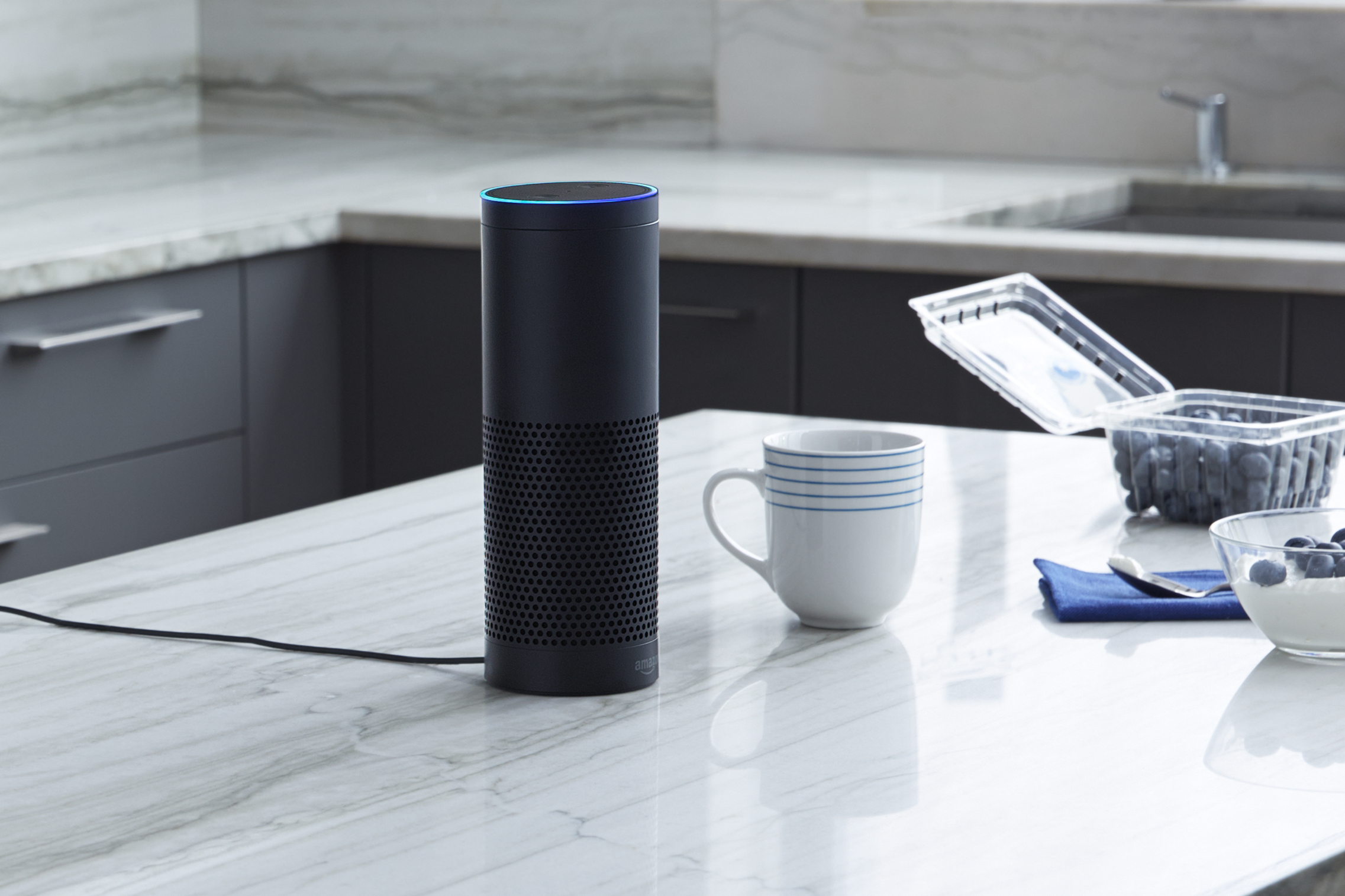 Amazon Echo and the internet of things that spy on you