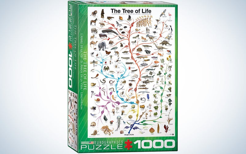 Evolution The Tree of Life 1000-Piece Puzzle
