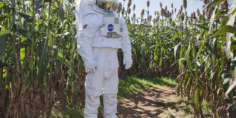 NASA bets the farm on the long-term viability of space agriculture