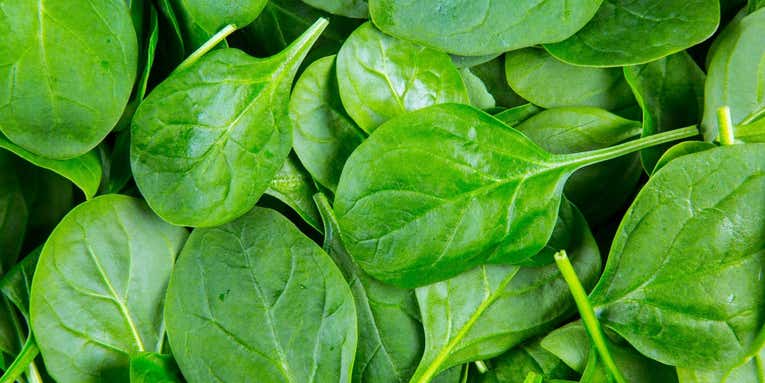 How to turn a spinach leaf into a human heart