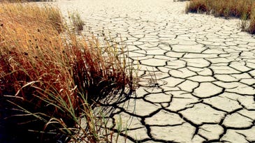 IBM Watson Can Help Find Water Wasters In Drought-Stricken California