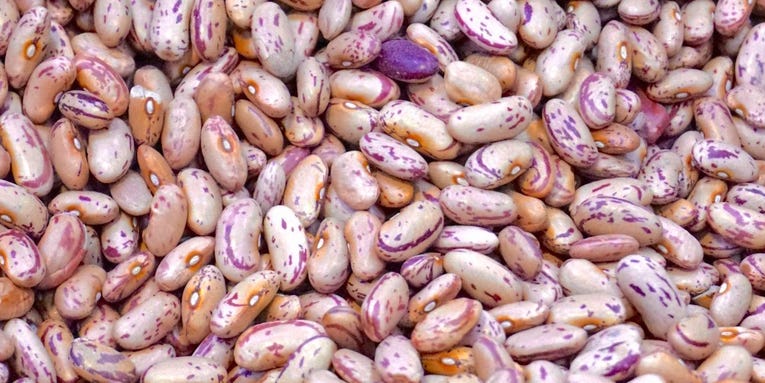 Replacing beef with beans could save the planet, because people farts are better than cow farts