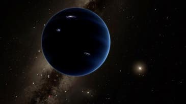 If Planet Nine Exists, We Might Have Stolen It