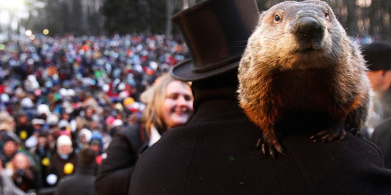 Groundhog Day is all about woodchuck sex