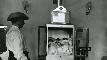 a man looks at several babies in an incubator 