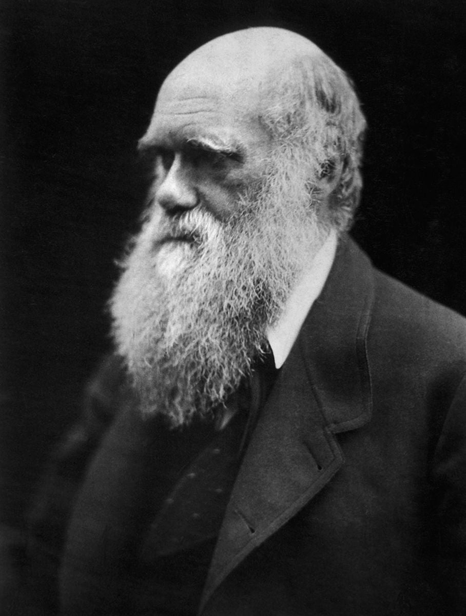 Pioneering photographer Julia Margaret Cameron's profile of Charles Darwin.