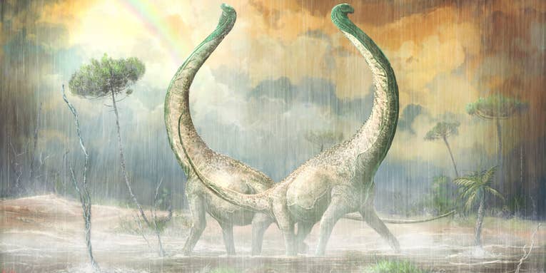 This newly discovered titanosaur had heart-shaped tail bones