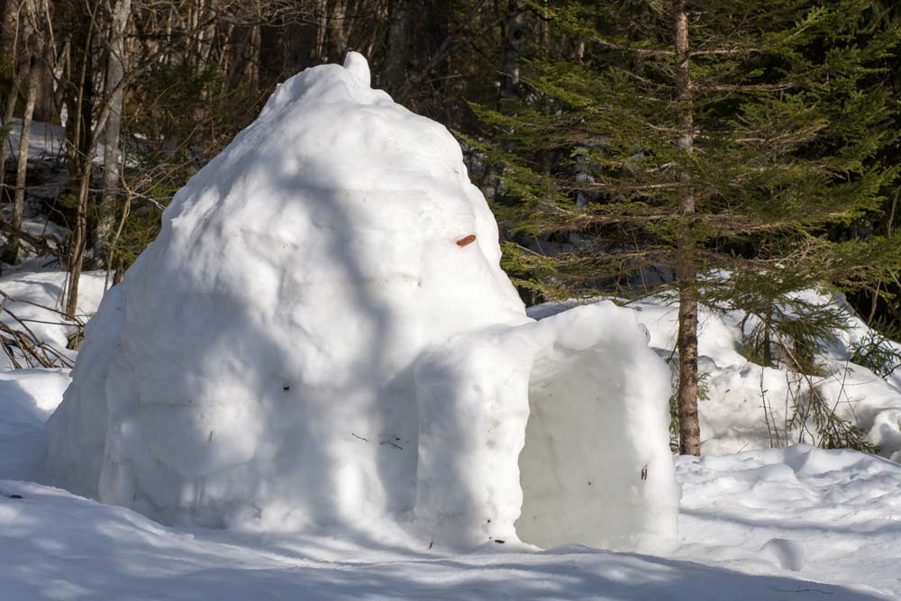  igloo pour survivre à la neige 