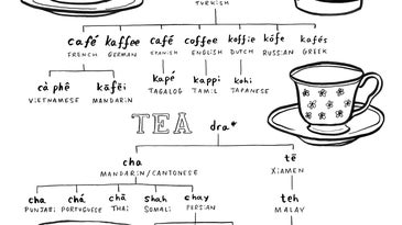 How you say “coffee” or “tea” depends on ancient trade routes
