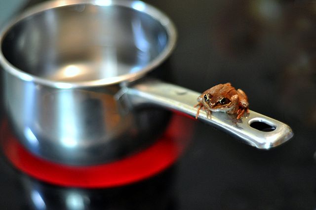 Like a boiling frog, humans quickly normalize extreme temperatures