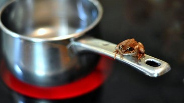 Boiling frog climate change Twitter analysis