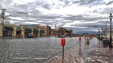 High-tide floods are becoming more common, and it’s costing businesses