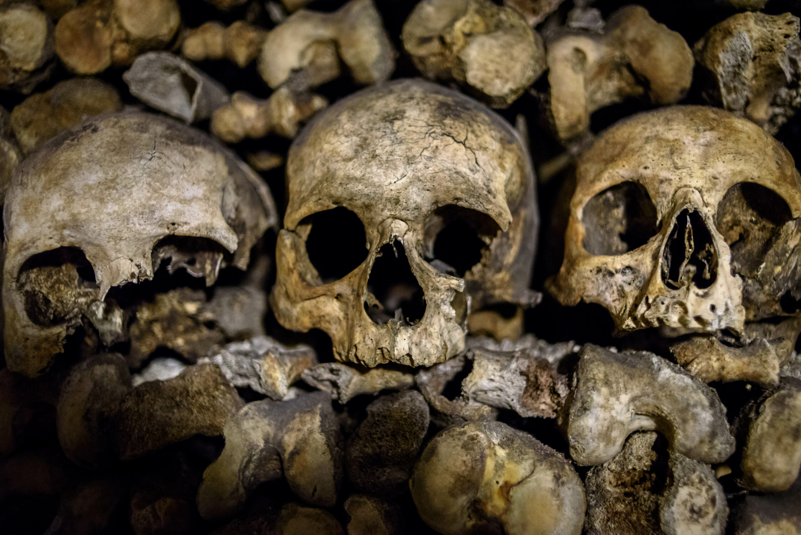 The human bone trade is legal—and booming on Instagram