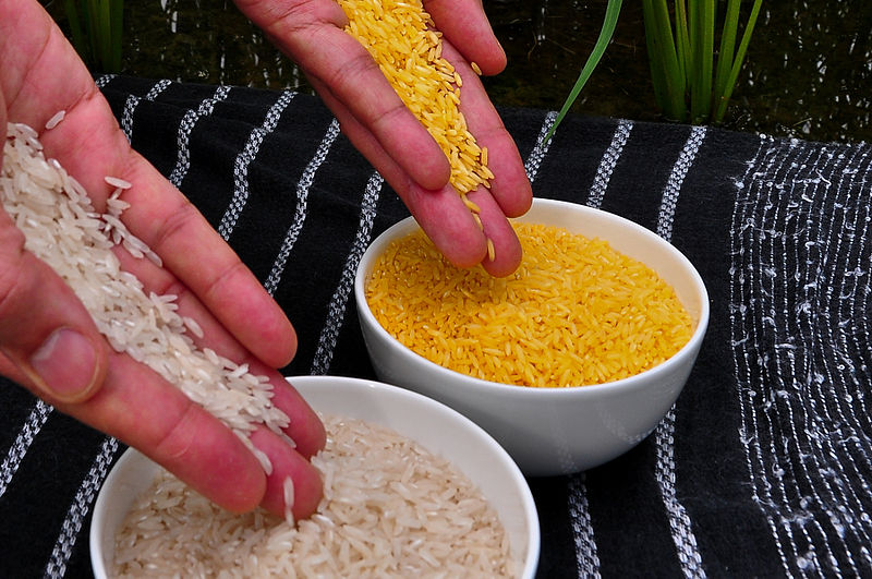 China Fires Officials Who Sanctioned Secret Feeding Of Genetically Modified Rice To Kids