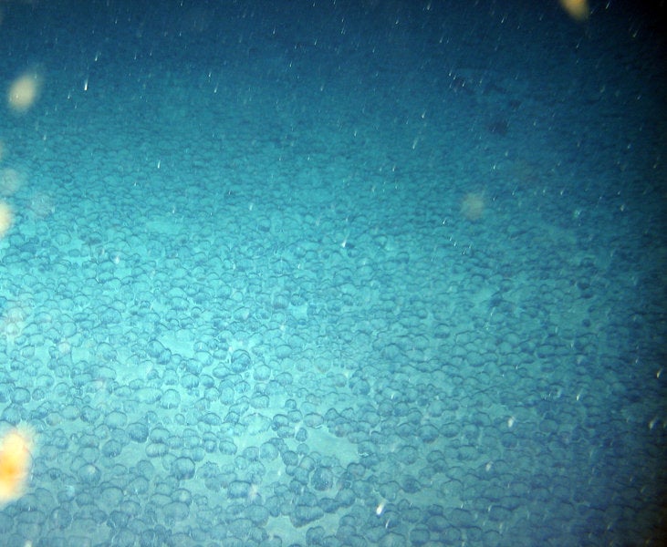Nodules On The Seafloor