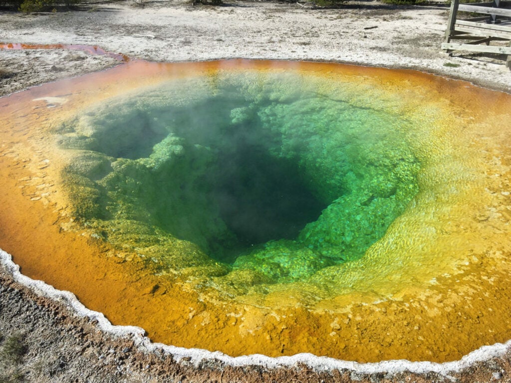 Microbiologist Alex Berezow <a href="https://twitter.com/AlexBerezow/status/595325413015990272">snapped this photo</a> of the Yellowstone's Morning Glory Pool. The hot spring was so-named because of its resemblance to morning glory flowers--before the 1960s, this pool was "filled with water of the loveliest, clearest, robin's egg blue," according to park literature. Though still gorgeous, this drastic color change is unfortunately <a href="http://www.smithsonianmag.com/smart-news/tourist-trash-has-changed-color-yellowstones-morning-glory-pool-180954239/?no-ist">the result of tourists throwing trash into it</a>, which caused bacteria to bloom. Yellowstone officials have since cracked down on visitors wielding lucky pennies.