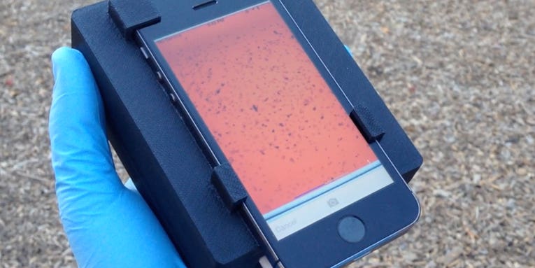 Smartphone System Rapidly Detects Eye Parasites