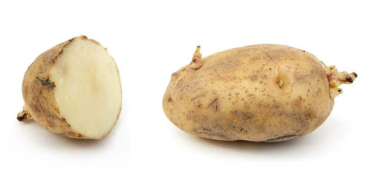 USDA Approves A Genetically Modified Potato With Possible Health Benefits