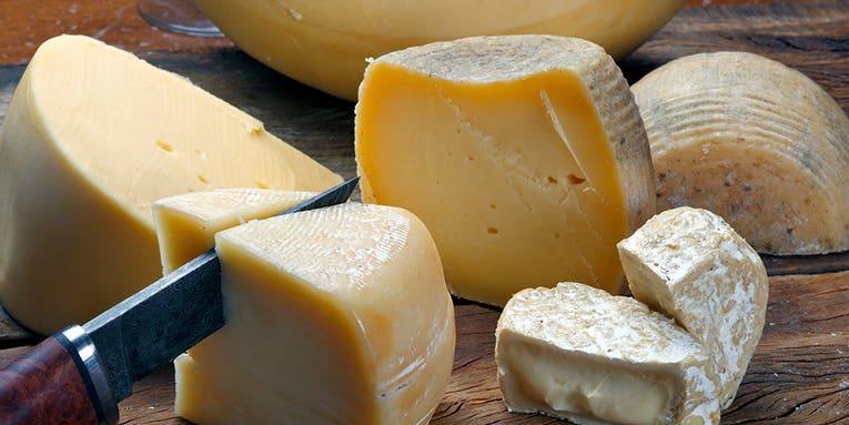 Cheese played a surprisingly important role in human evolution