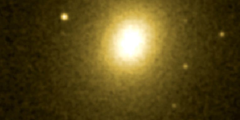 Newly Discovered Cache of Red Dwarfs Triples the Number of Known Stars in the Universe