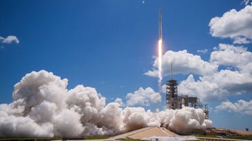 spaceX launch