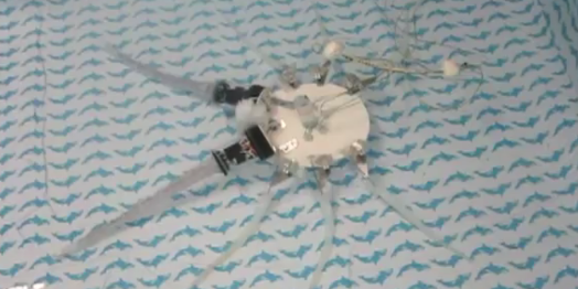 Video: This Octobot Walks Using Shape-Memory Alloy Tentacles