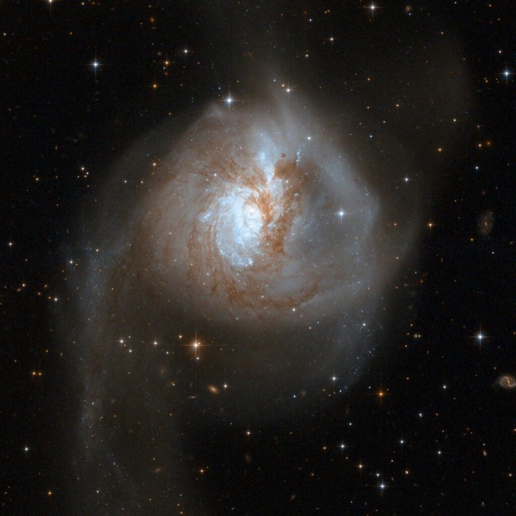 NGC 3256 is an impressive example of a peculiar galaxy that is actually the relict of a collision of two separate galaxies that took place in a distant past. The telltale signs of the collision are two extended luminous tails swirling out from the galaxy. NGC 3256 belongs to the Hydra-Centaurus supercluster complex and provides a nearby template for studying the properties of young star clusters in tidal tails. The system hides a double nucleus and a tangle of dust lanes in the central region. The tails are studded with a particularly high density of star clusters.