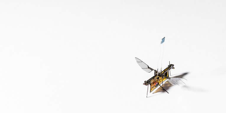 This tiny, laser-powered RoboFly could sniff out forest fires and gas leaks
