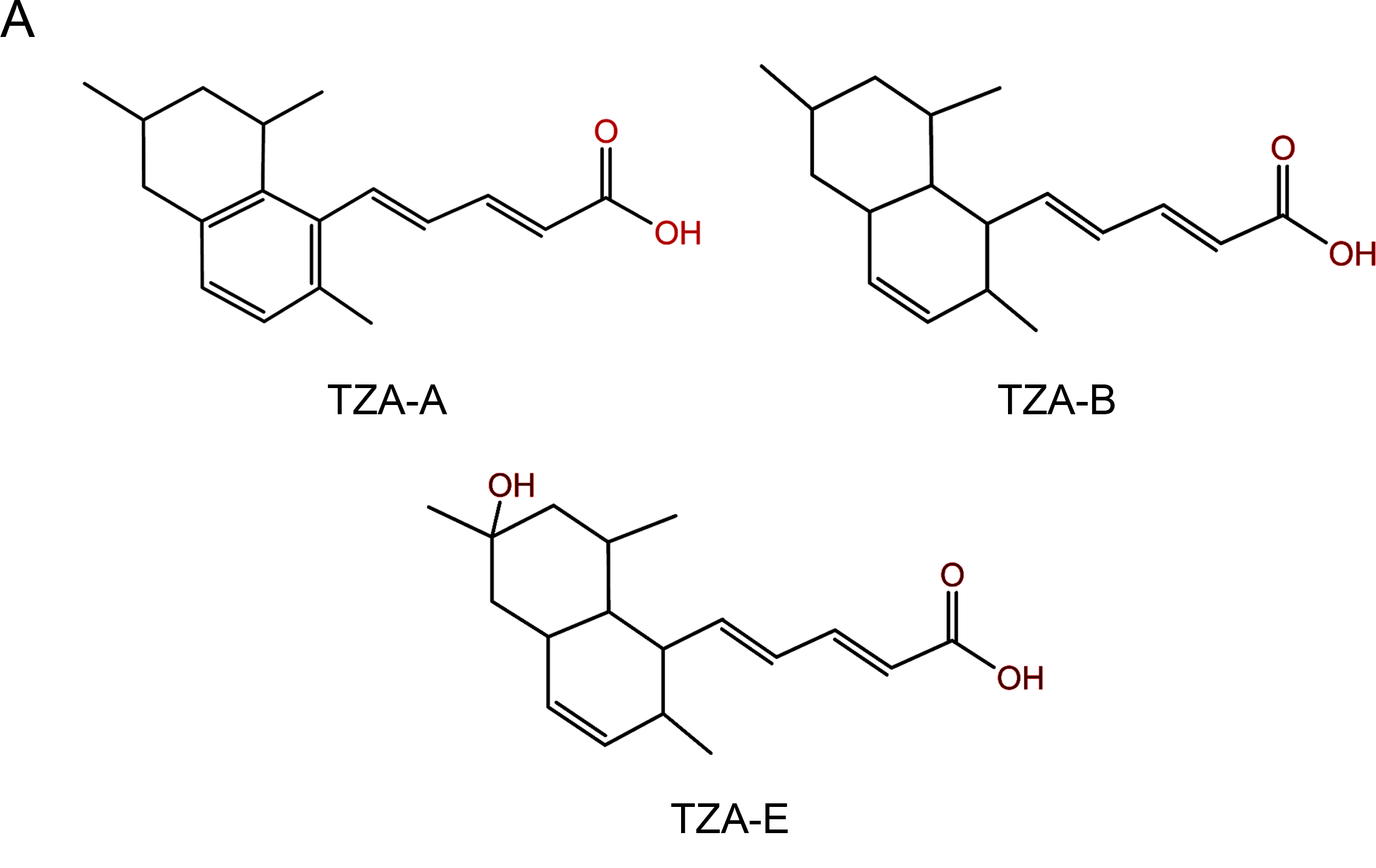 Tanzawaic Acid: A New Weapon In The Fight Against Antibiotic Resistance