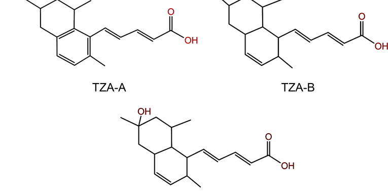Tanzawaic Acid: A New Weapon In The Fight Against Antibiotic Resistance