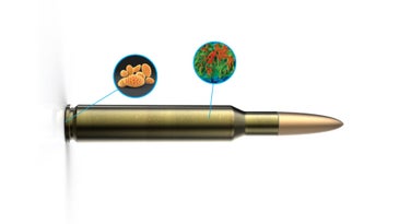 Bullet Solves Crime By Tagging Shooters And Snagging Their DNA
