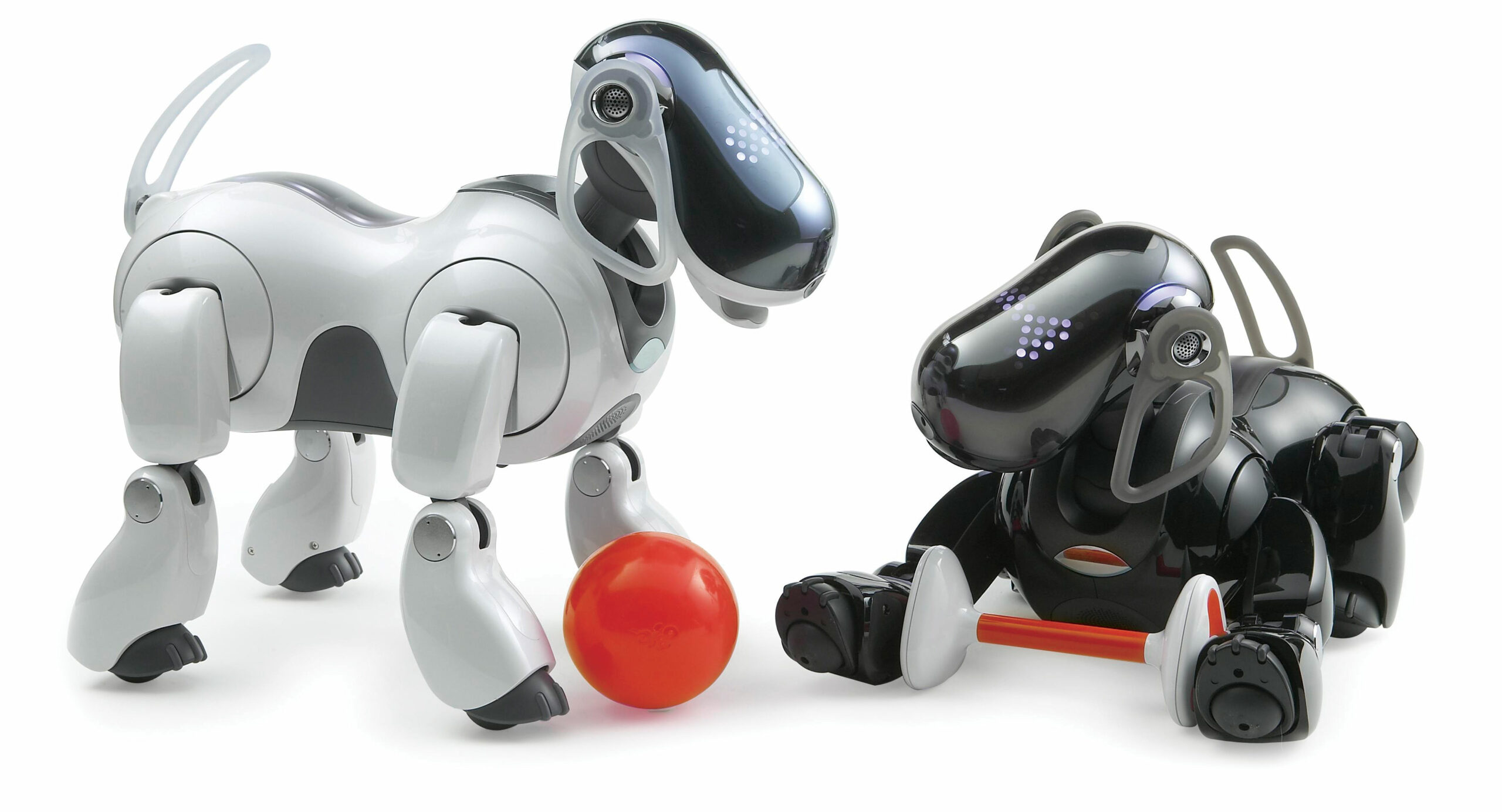 Robot Pets Have a Leg Up on Fido