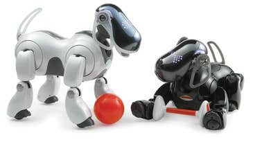Robot Pets Have a Leg Up on Fido