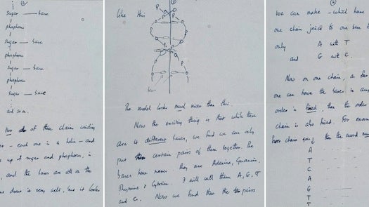 Letter Francis Crick wrote to his son in 1953