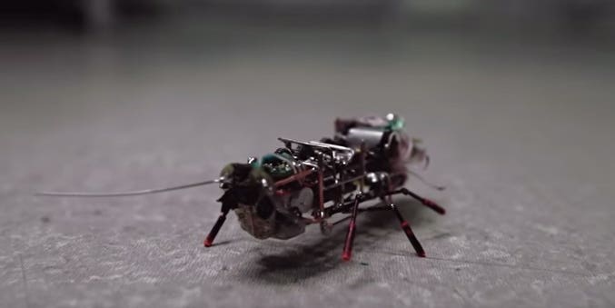Russia Shows Off Robotic Cockroach