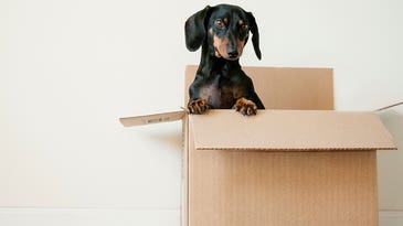 Moving is hard. Let these apps do the heavy lifting.