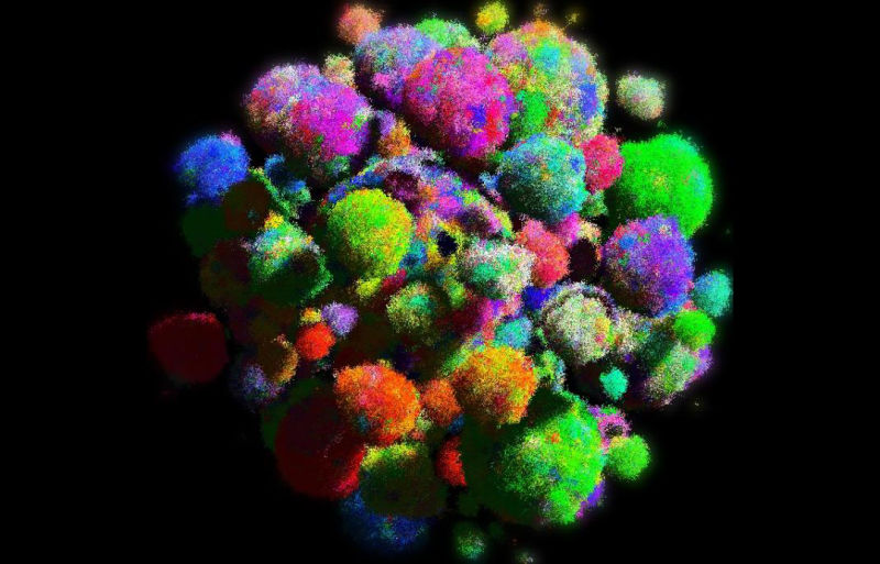 Understanding the mechanisms that enable a few cancer cells to turn into a malignant tumor could help researchers understand and treat cancer more precisely. To assist, a team of researchers developed a 3D model of how cancer cells form a tumor—complete with different colors that represent unique genetic mutations.
