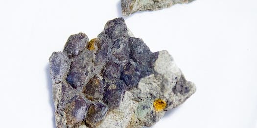 Particle Accelerator Will Examine The Color Of Dinosaur Skin