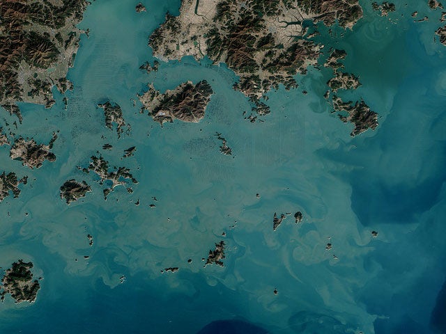 This beautiful view of South Korea shows the fields of seaweed that grow off the country's southern coast. <a href="https://www.flickr.com/photos/gsfc/17320902662/">NASA explains</a> that the checkerboard of dark squares is seaweed grown on ropes, which are held near the surface with buoys. This ensures the seaweed stays close to the surface and gets enough light during high tide, and it prevents the seaweed from hitting the bottom during low tide. These floating algae eventually become snacks, as seaweed is an ingredient in many traditional Korean, Japanese, and Chinese foods.