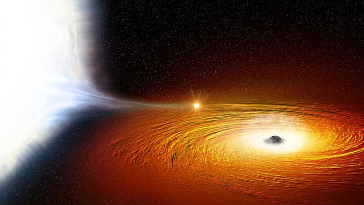 A black hole meets a white dwarf star