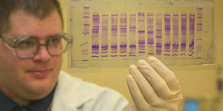 There’s No Guarantee That Genetic Tests Are Accurate