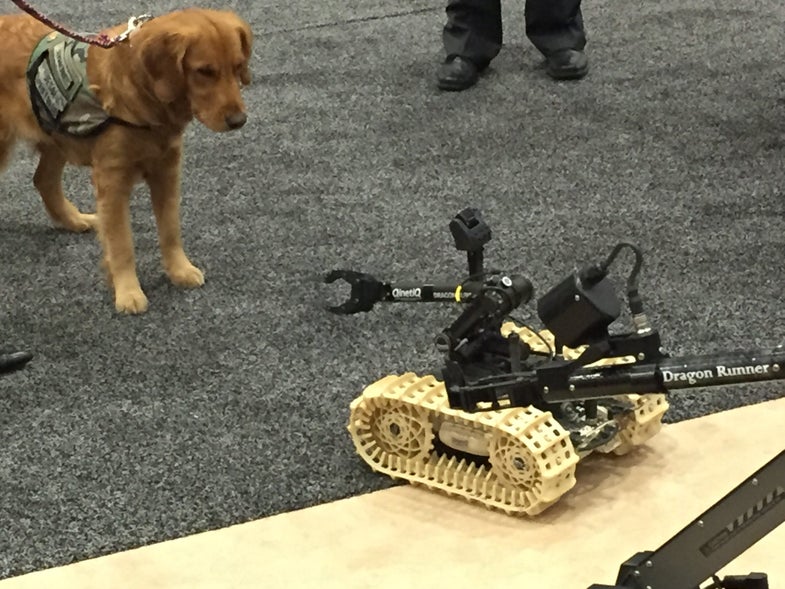 Service Dog And Dragon Runner Robot