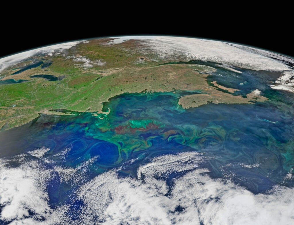 Satellite image of a bloom in the North Atlantic.