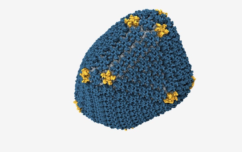 Supercomputer Creates Atom-By-Atom Model Of HIV Virus Shell
