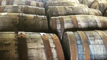 What Does The Deadly Oak Epidemic Mean For Whiskey?