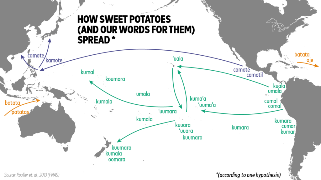 sweet potato map