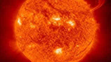 If The Sun Went Out, How Long Would Life On Earth Survive?