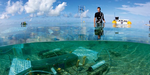 How Scientists Turn The Ocean Into A Controlled Laboratory